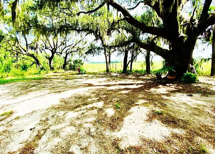 The Offbeat Oasis By The Marsh With Hunting Island Beach Pass
